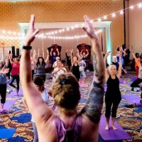 Linder Wellness Studio ico