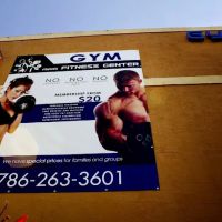 Gallo 8 Gym ico