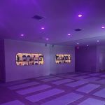 Daily Flows Movement Studio
