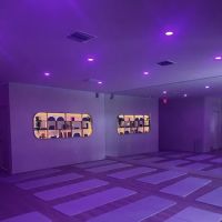 Daily Flows Movement Studio ico