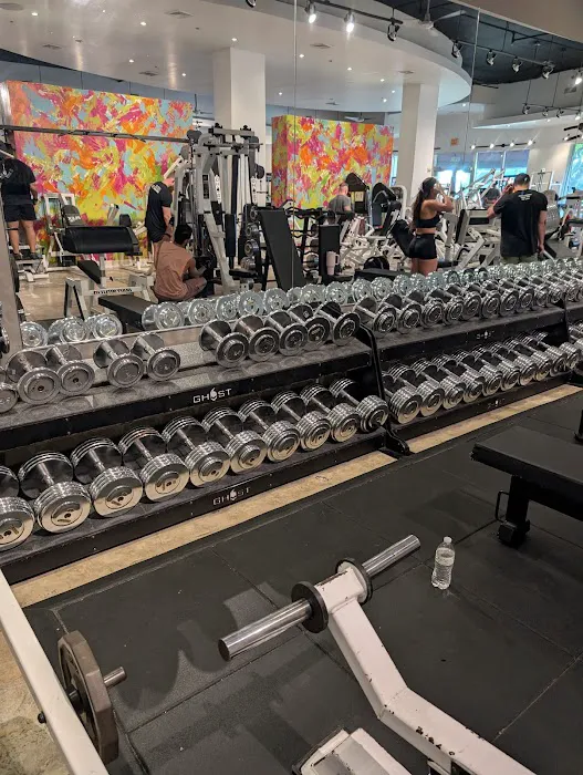 Ghost Gym Miami Picture 10