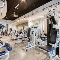 Ghost Gym Miami ico