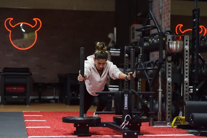 Old Bull Athletics: 1 on 1 Personal Training and Physical Therapy in Coral Gables Picture 2