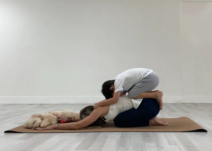 Kids & Yoga Love Music, LLC Picture 6