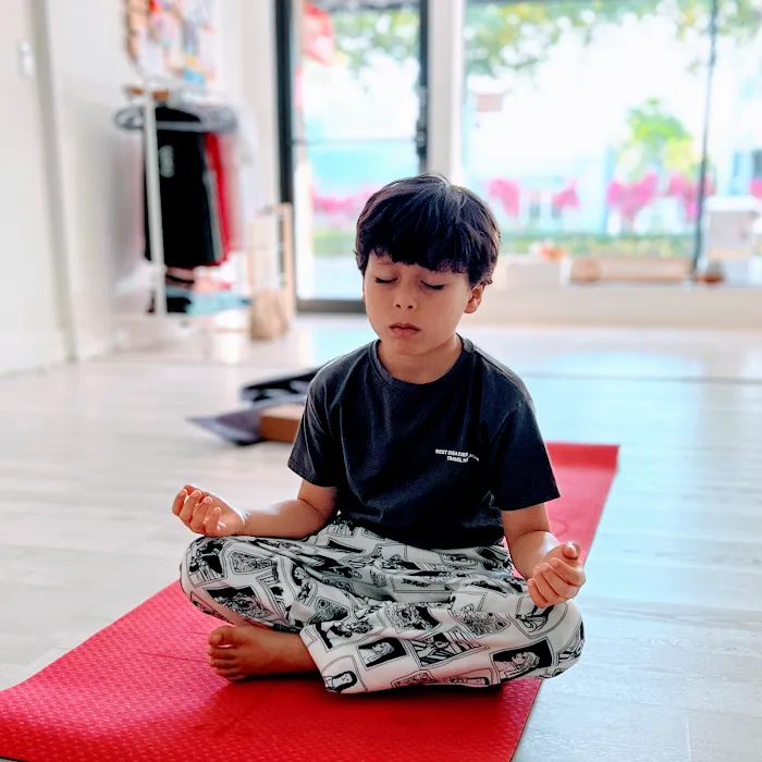 Kids & Yoga Love Music, LLC Picture 10