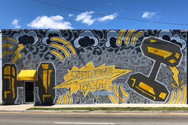 Thunder Gym Picture 2
