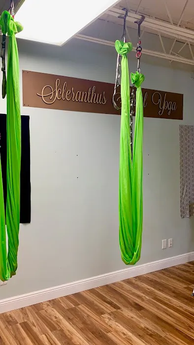 Scleranthus Aerial Yoga - Miami’s Preferred Aerial Yoga @miamisaerialyoga Picture 7