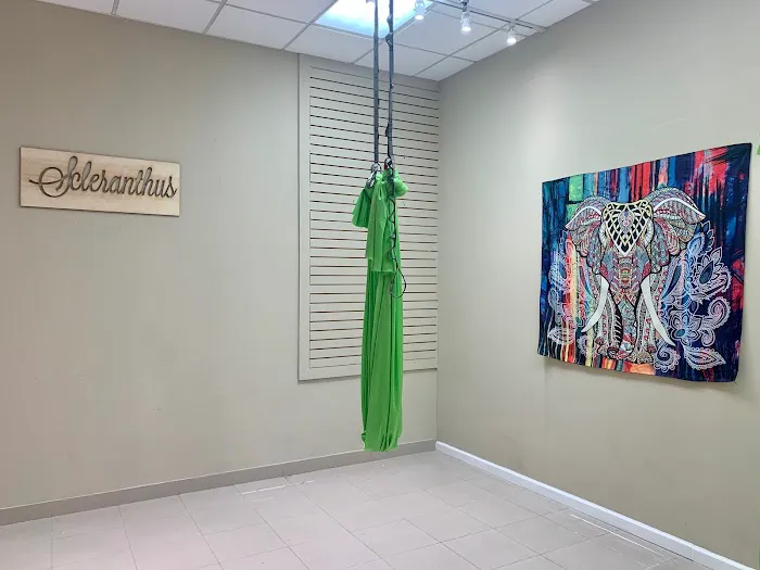 Scleranthus Aerial Yoga - Miami’s Preferred Aerial Yoga @miamisaerialyoga Picture 2