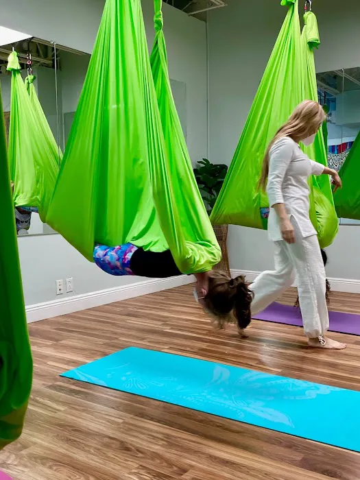 Scleranthus Aerial Yoga - Miami’s Preferred Aerial Yoga @miamisaerialyoga Picture 6