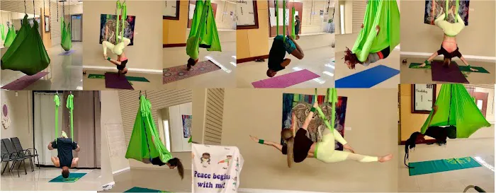 Scleranthus Aerial Yoga - Miami’s Preferred Aerial Yoga @miamisaerialyoga Picture 1