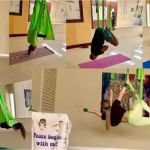 Scleranthus Aerial Yoga - Miami’s Preferred Aerial Yoga @miamisaerialyoga