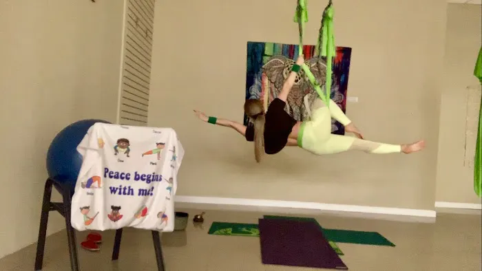 Scleranthus Aerial Yoga - Miami’s Preferred Aerial Yoga @miamisaerialyoga Picture 3