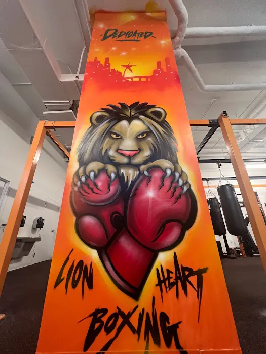 Lion Heart Boxing Gym Picture 6