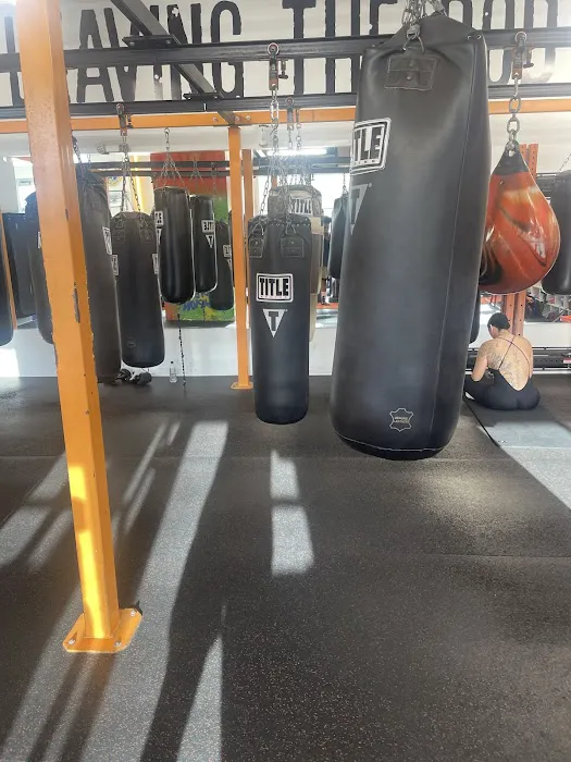 Lion Heart Boxing Gym Picture 10