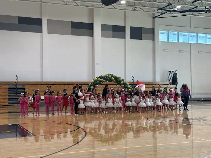 Miami´s Stars Gymnastics Picture 2