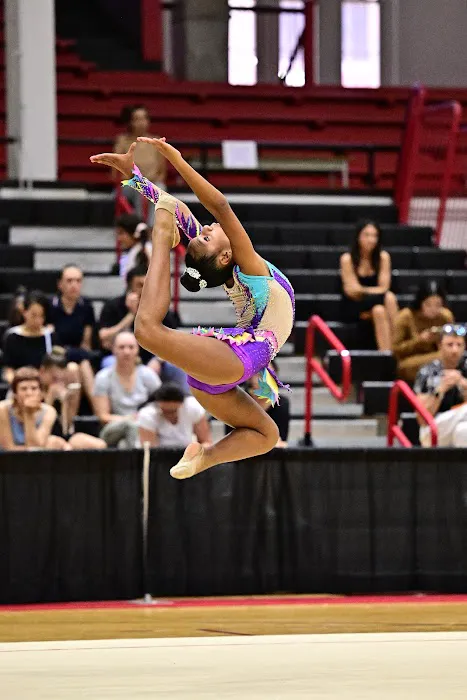 Miami´s Stars Gymnastics Picture 10