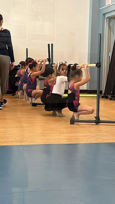 Miami´s Stars Gymnastics Picture 4