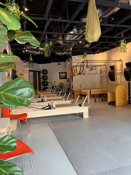 Art In Movement Pilates Studio Picture 6