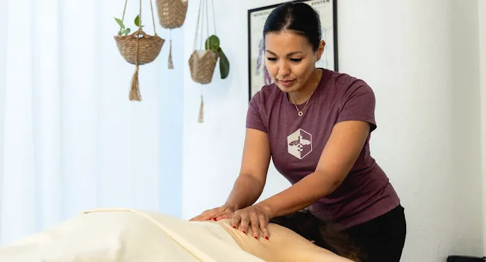 Pandora Pilates & Physical Therapy Picture 3