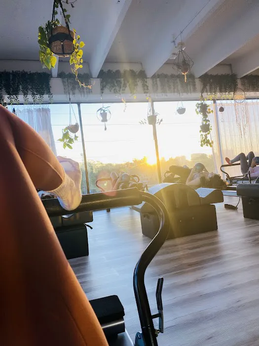 Pandora Pilates & Physical Therapy Picture 10