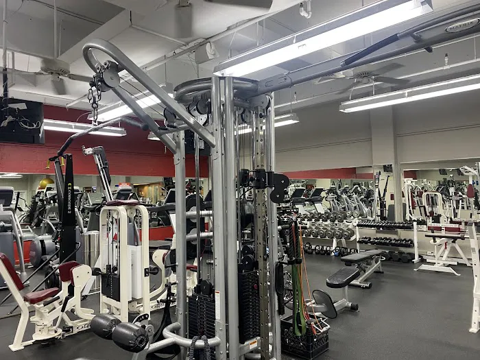 Z-Form Fitness Picture 4