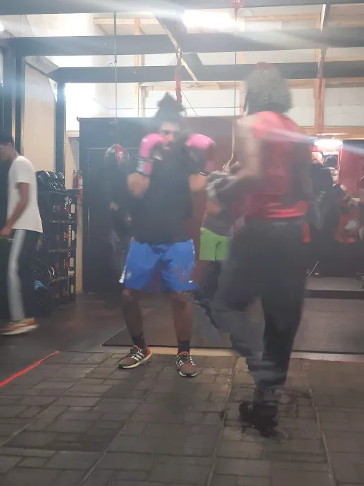 Panama boxing Studio Picture 5