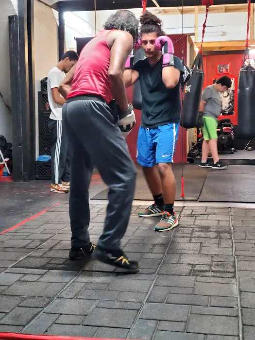 Panama boxing Studio Picture 8