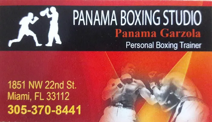 Panama boxing Studio Picture 7