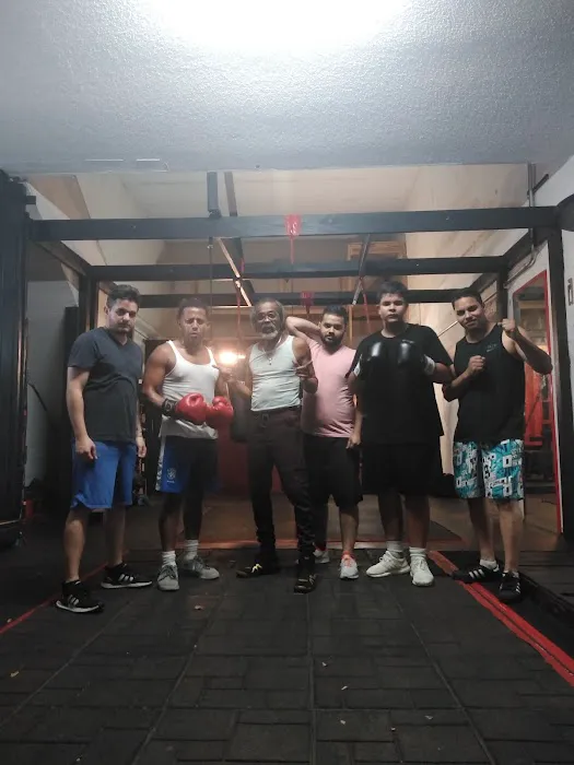 Panama boxing Studio Picture 3