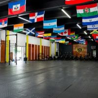 Crossfit Yellow Falcon Miami ico
