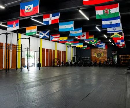Crossfit Yellow Falcon Miami