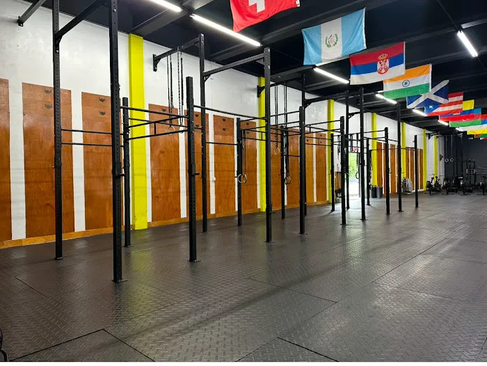 Crossfit Yellow Falcon Miami Picture 10