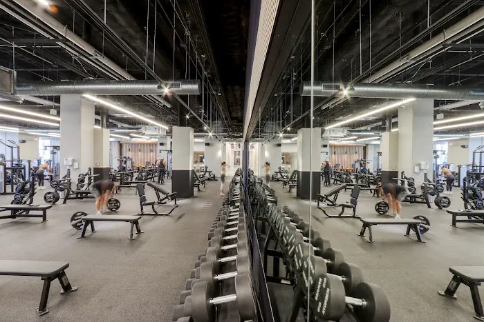 Powerhouse Gym Miami Picture 5
