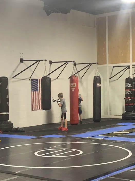 Bullz Boxing Picture 2