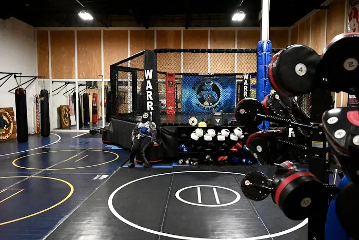 Maverick MMA Academy & Bullz Boxing Picture 8