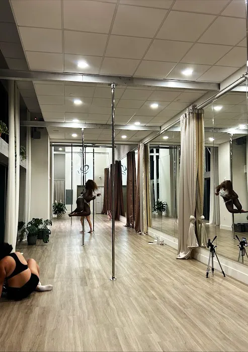Silver Garden Pole & Yoga Studio Picture 4