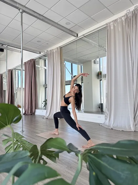 Silver Garden Pole & Yoga Studio Picture 9