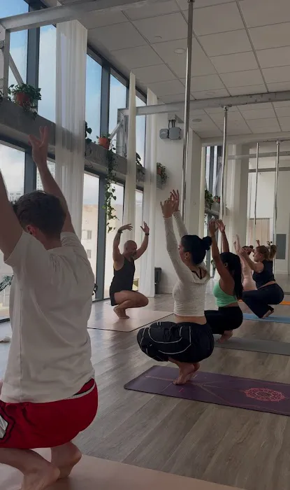 Silver Garden Pole & Yoga Studio Picture 8