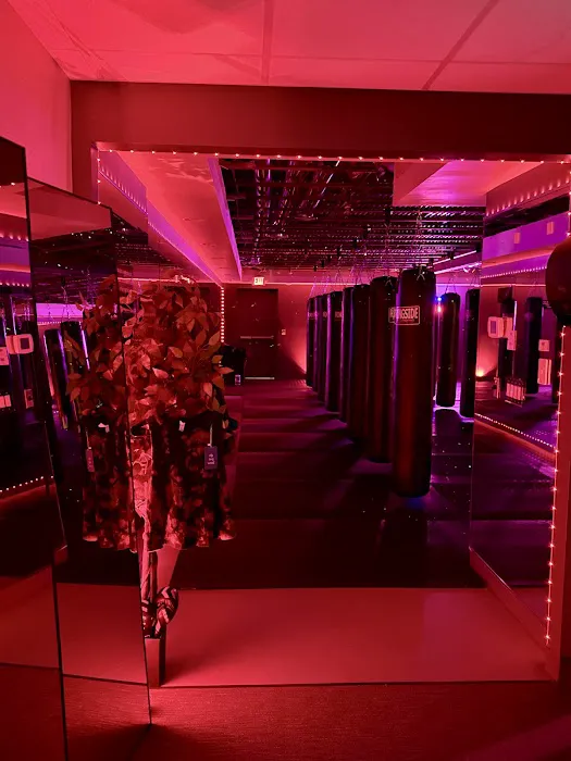 Savant Boxing Gym Picture 5