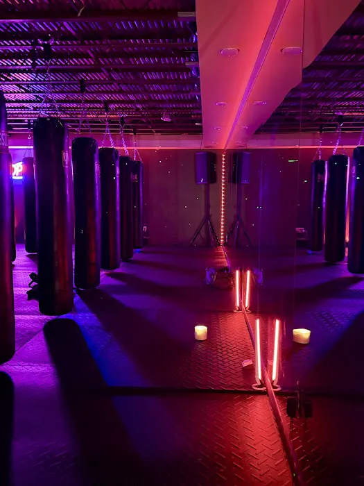 Savant Boxing Gym Picture 1