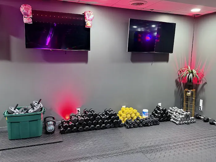 Savant Boxing Gym Picture 2