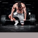 LG Fitness LLC