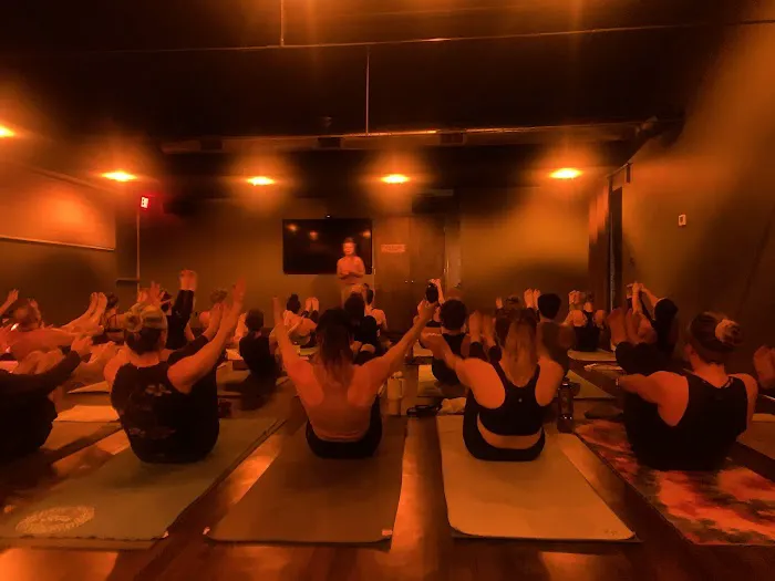 The Yoga Garden Picture 4