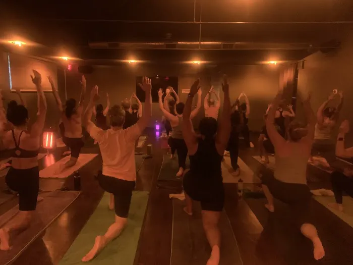 The Yoga Garden Picture 3