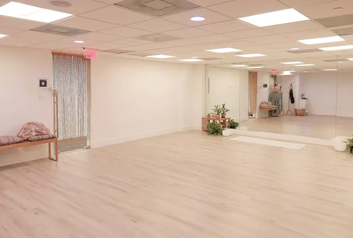 Leela Shala Yoga Picture 3