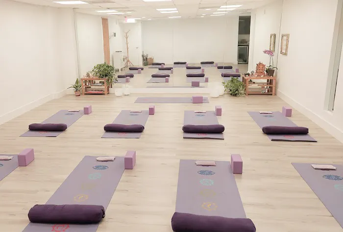 Leela Shala Yoga Picture 2