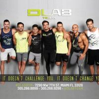 DLAB Team ico