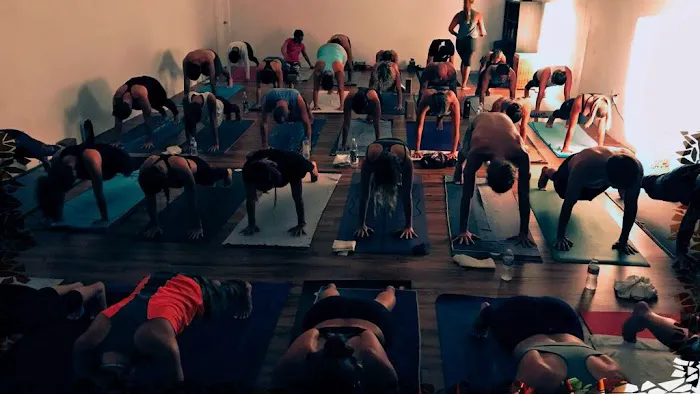 Wynwood Yoga Picture 6