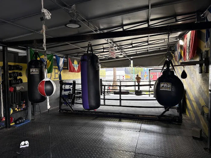 House of Pain Miami Boxing Picture 9