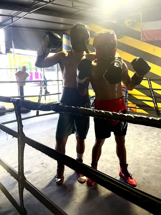 House of Pain Miami Boxing Picture 3
